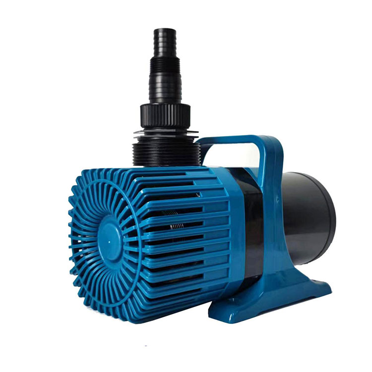 Pumps Pumps: Warta Paling Anyar lan Inovasi